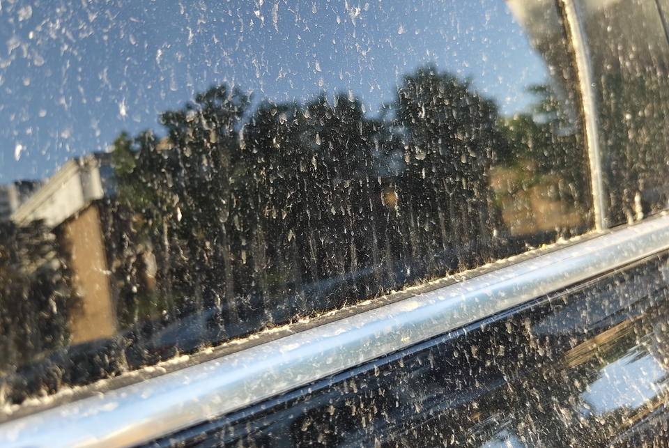 皇冠信用網登2登3
_昨晚这场暴风骤雨皇冠信用網登2登3
，让济南很多车辆变成“大花脸”